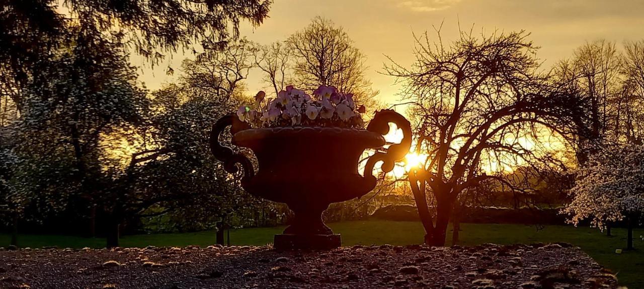 Château de Cleuville Extérieur photo